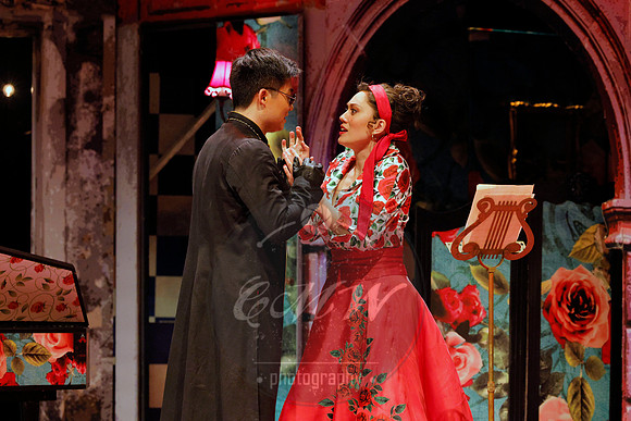 Des Moines Metro Opera, Barber of Seville