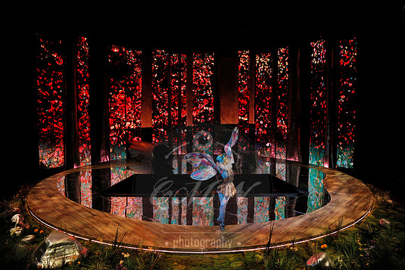 Des Moines Metro Opera, The Cunning Little Vixen