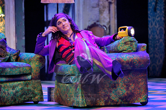 Des Moines Metro Opera, Barber of Seville