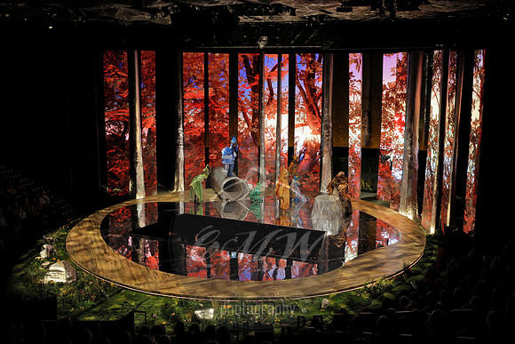 Des Moines Metro Opera, The Cunning Little Vixen